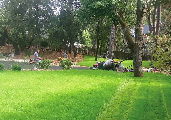 Visuel Service : Entretien et Soin du Jardin - Paysagiste Lantana Loirat Paysage - Guérande, Loire-Atlantique (44)