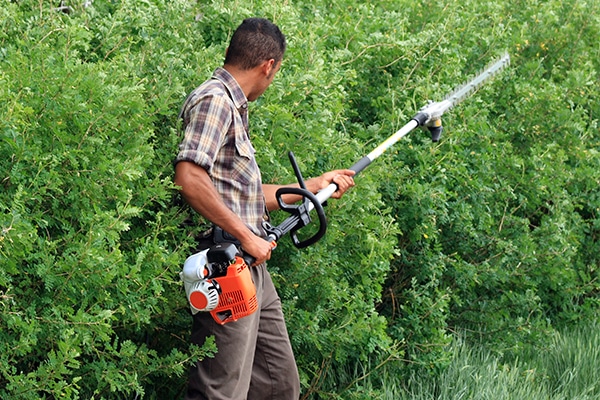 Visuel Service : Entretien et Soin du Jardin - Paysagiste Lantana Jardécor - Orléans, Loiret (45)