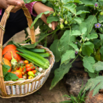 que faire au jardin en Octobre