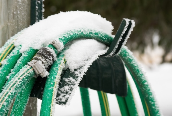 Que faire au jardin en décembre ?